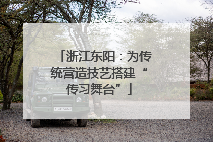 浙江东阳：为传统营造技艺搭建“传习舞台”