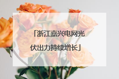 浙江嘉兴电网光伏出力持续增长