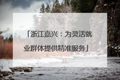浙江嘉兴：为灵活就业群体提供精准服务