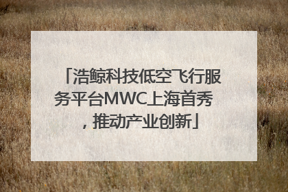 浩鲸科技低空飞行服务平台MWC上海首秀，推动产业创新