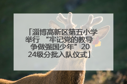 淄博高新区第五小学举行 “牢记党的教导 争做强国少年”2024级分批入队仪式