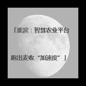 淮滨：智慧农业平台跑出麦收“加速度”