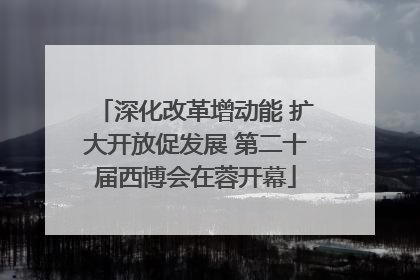 深化改革增动能 扩大开放促发展 第二十届西博会在蓉开幕