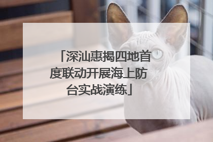 深汕惠揭四地首度联动开展海上防台实战演练