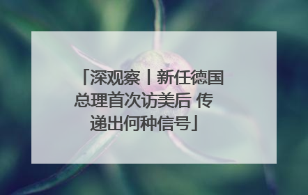 深观察丨新任德国总理首次访美后 传递出何种信号
