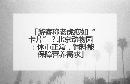 游客称老虎瘦如“卡片”？北京动物园：体重正常，饲料能保障营养需求