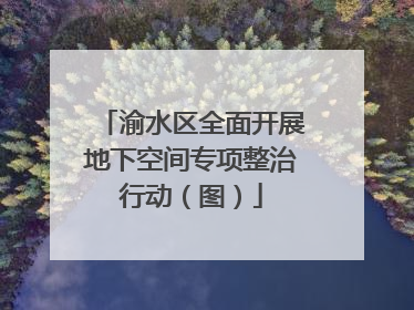 渝水区全面开展地下空间专项整治行动（图）