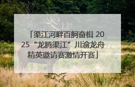 渠江河畔百舸奋楫 2025“龙腾渠江”川渝龙舟精英邀请赛激情开赛
