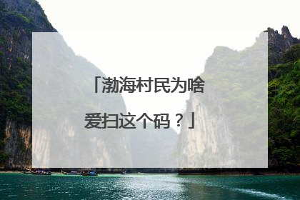 渤海村民为啥爱扫这个码？
