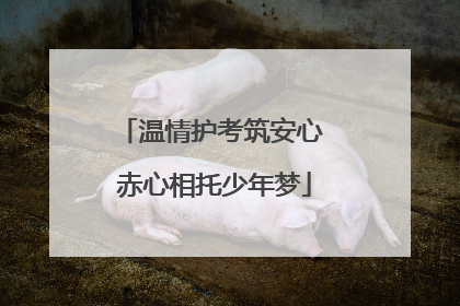 温情护考筑安心 赤心相托少年梦