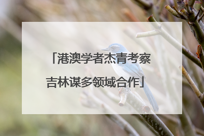 港澳学者杰青考察吉林谋多领域合作