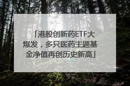 港股创新药ETF大爆发，多只医药主题基金净值再创历史新高