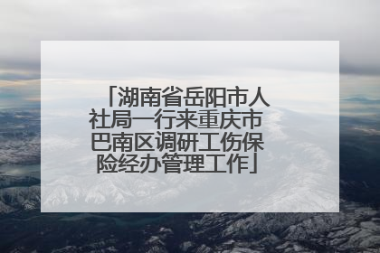 湖南省岳阳市人社局一行来重庆市巴南区调研工伤保险经办管理工作