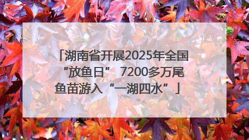 湖南省开展2025年全国“放鱼日” 7200多万尾鱼苗游入“一湖四水”