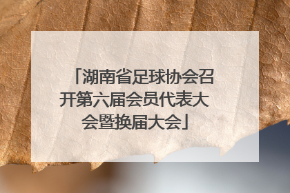 湖南省足球协会召开第六届会员代表大会暨换届大会