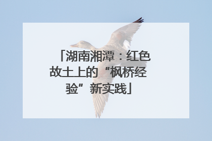 湖南湘潭：红色故土上的“枫桥经验”新实践
