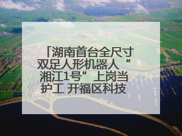 湖南首台全尺寸双足人形机器人“湘江1号”上岗当护工 开福区科技活动周十大科创项目签约