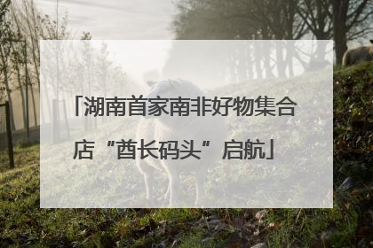 湖南首家南非好物集合店“酋长码头”启航