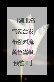 湖北省气象台发布强对流黄色省级预警！