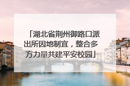 湖北省荆州御路口派出所因地制宜，整合多方力量共建平安校园