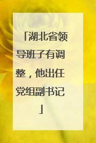 湖北省领导班子有调整，他出任党组副书记