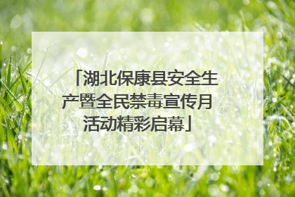 湖北保康县安全生产暨全民禁毒宣传月活动精彩启幕