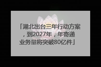 湖北出台三年行动方案，到2027年，年寄递业务量将突破80亿件