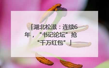 湖北松滋：连续6年，“书记论坛”抢“千万红包”
