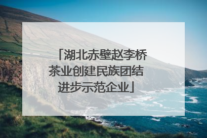 湖北赤壁赵李桥茶业创建民族团结进步示范企业