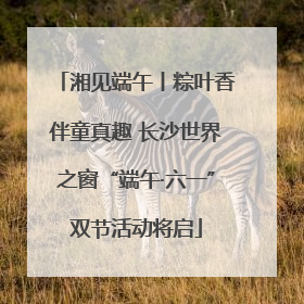 湘见端午丨粽叶香伴童真趣 长沙世界之窗“端午·六一”双节活动将启