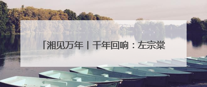 湘见万年丨千年回响：左宗棠家传七弦琴里的湖湘精神印记