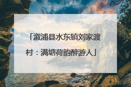 溆浦县水东镇刘家渡村：满塘荷韵醉游人