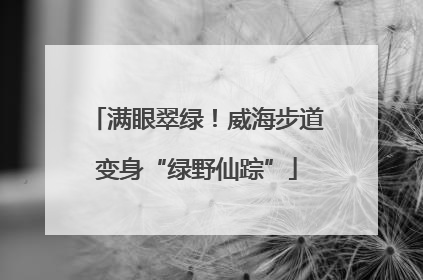 满眼翠绿！威海步道变身“绿野仙踪”