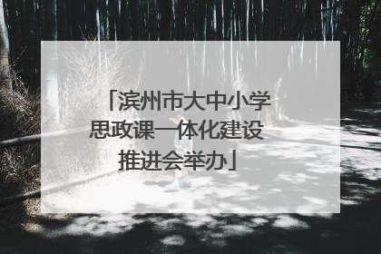 滨州市大中小学思政课一体化建设推进会举办