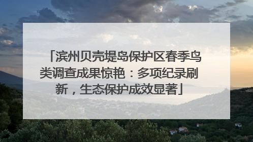 滨州贝壳堤岛保护区春季鸟类调查成果惊艳：多项纪录刷新，生态保护成效显著