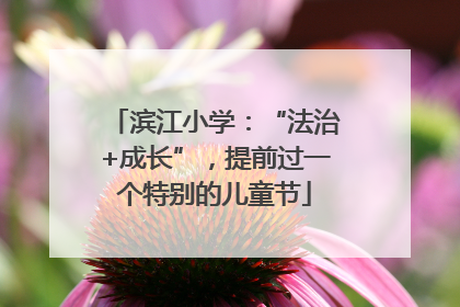 滨江小学：“法治+成长”，提前过一个特别的儿童节