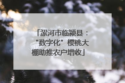 漯河市临颍县：“数字化”樱桃大棚助推农户增收