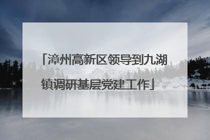 漳州高新区领导到九湖镇调研基层党建工作