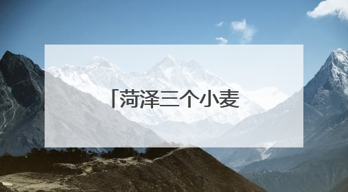 菏泽三个小麦新品种在新疆戈壁滩试种成功