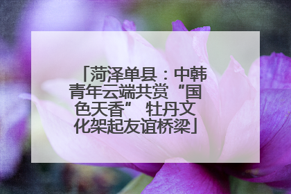 菏泽单县：中韩青年云端共赏“国色天香” 牡丹文化架起友谊桥梁