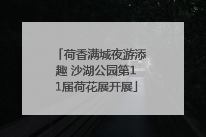 荷香满城夜游添趣 沙湖公园第11届荷花展开展
