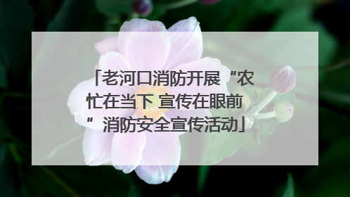 老河口消防开展“农忙在当下 宣传在眼前”消防安全宣传活动
