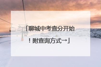聊城中考查分开始！附查询方式→
