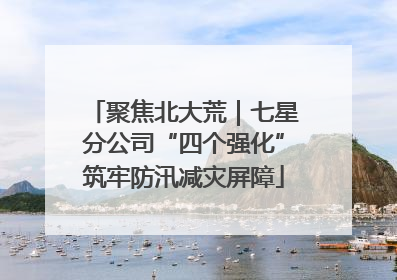 聚焦北大荒｜七星分公司“四个强化”筑牢防汛减灾屏障