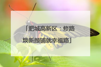 肥城高新区：修路焕新颜铺就幸福路