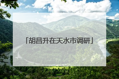 胡昌升在天水市调研