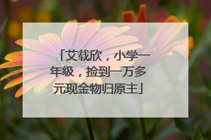 艾载欣，小学一年级，捡到一万多元现金物归原主