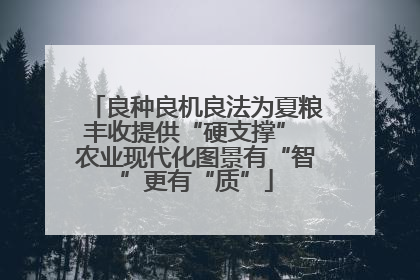 良种良机良法为夏粮丰收提供“硬支撑” 农业现代化图景有“智”更有“质”