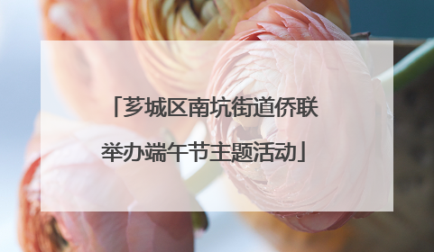芗城区南坑街道侨联举办端午节主题活动