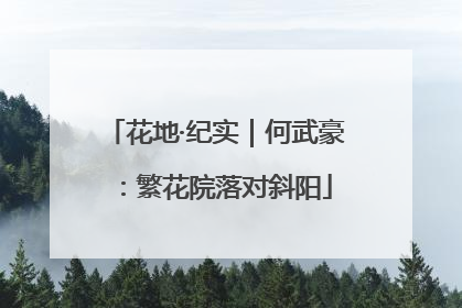 花地·纪实｜何武豪：繁花院落对斜阳